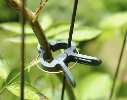 záhradné spony - set